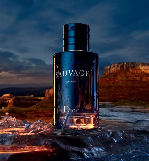 sauvage di dior pragranza|sauvage dior fragrance.